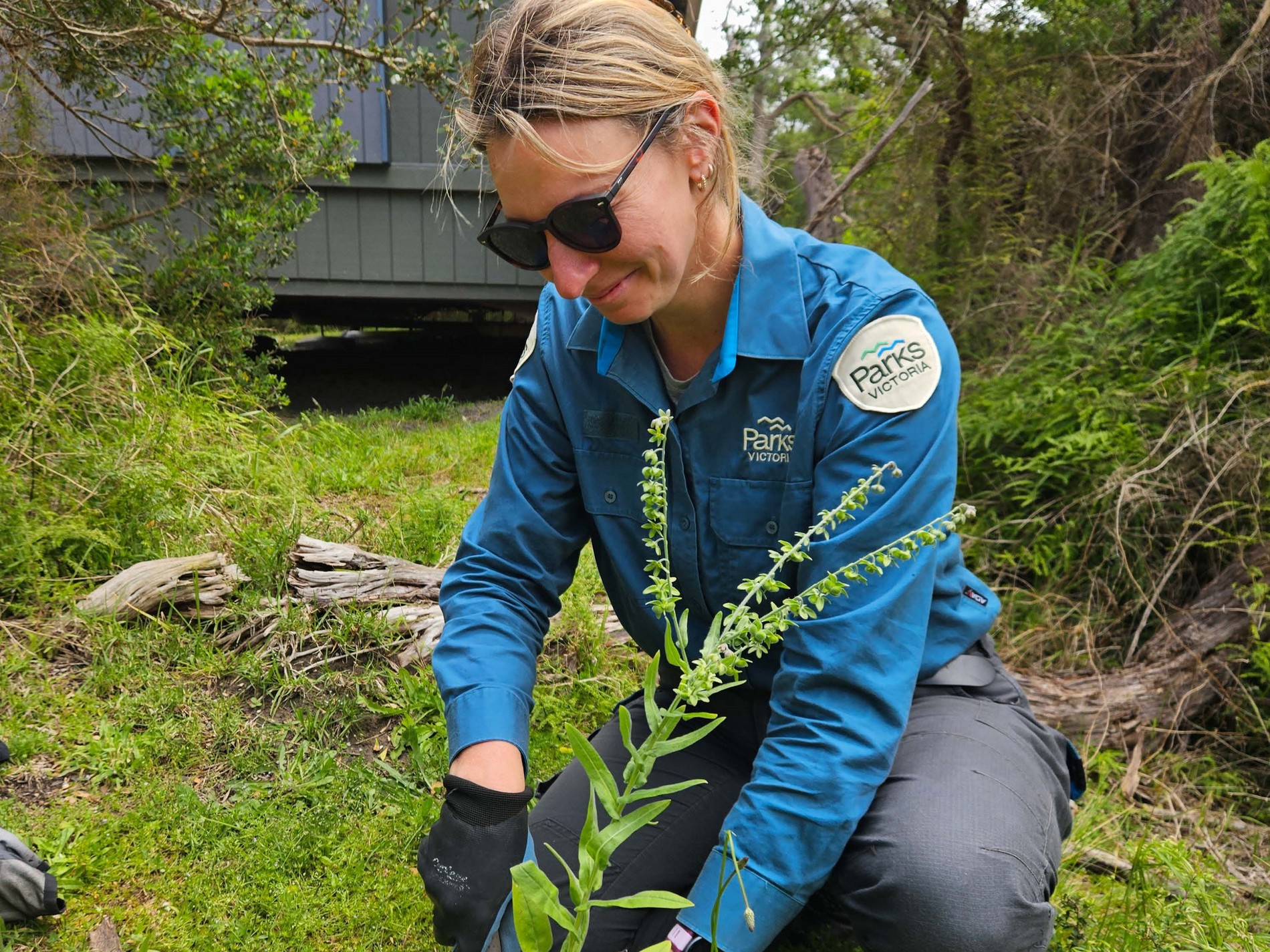 Big Gains for the Prom this Summer | People and Parks Foundation